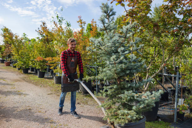 Best Tree Pruning Services  in Yelm, WA